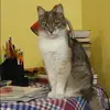 Отзыв от Ирина Цветкова